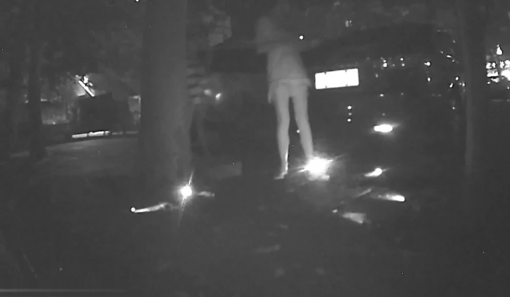 传说中的国产野外放尿神作 两位姑娘光顾临路边老赵家大牌档嫌弃厕所太脏偷偷到停车场随地大小便活该被