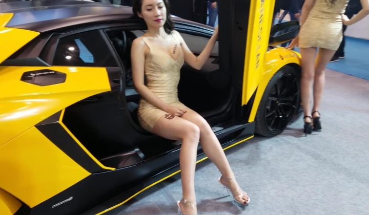 成都车展一个没穿内裤的大胸美模,整理胸罩时候裙底走光了,透过连裤袜清晰看到馋人的阴毛