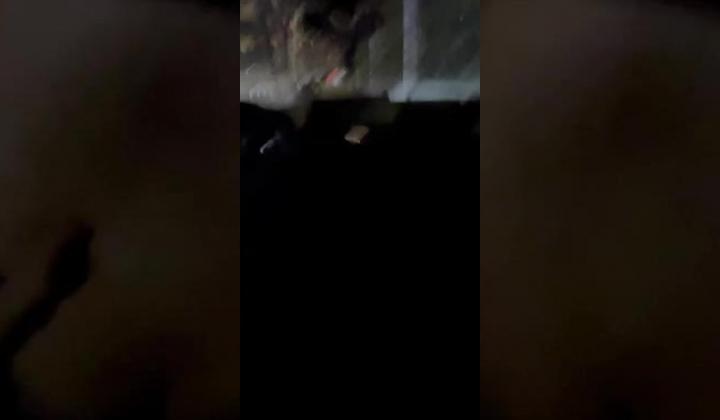 顶级约炮大神 推特【一杆钢枪】顶级大神开发清纯大学生 叫上兄弟一起操