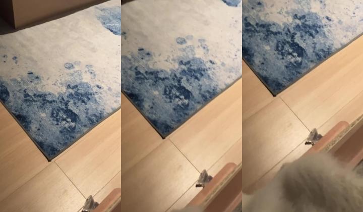 原创约炮大神【推特一杆钢枪】千元高级群最新，南昌二甲医院护士，南京艺校生，杭州舞蹈老师