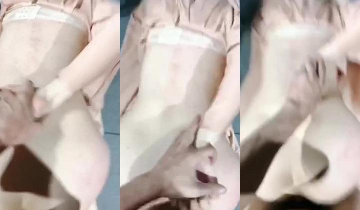 东北哈尔滨牛逼约炮大神joker高价付费翻车群内部福利视频整理集 模特外围好多反差婊