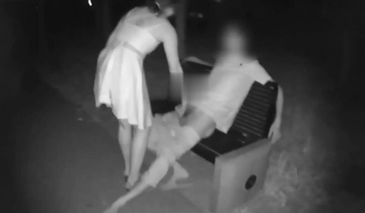 【顶级绿帽奴性爱推荐】推特绿帽大神GXB最新收费资源-3P野战毒龙69 经典刷锅 肛交双通内射 