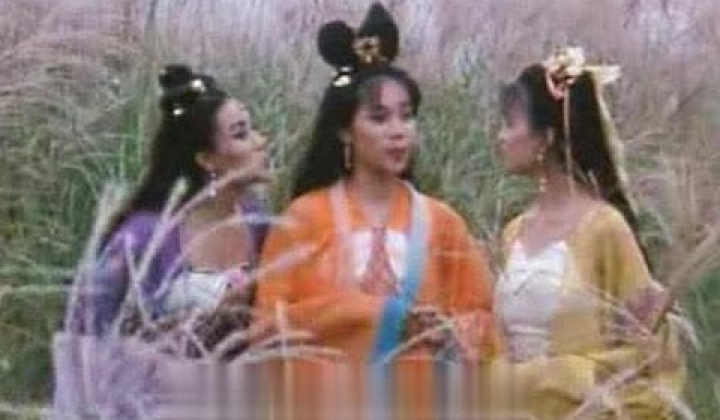 与蛇共舞