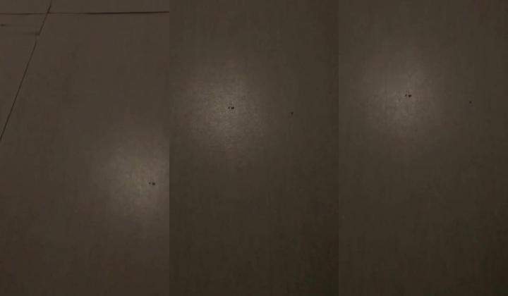 【猎奇资源 ️真实浅入旅馆】尾随跟踪翻偷拍情侣啪啪做爱叫床声甄选 两小时超刺激 叫的撕心裂肺 荡
