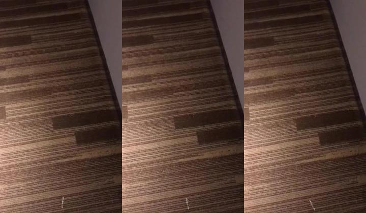 【猎奇资源 ️真实浅入旅馆】尾随跟踪翻偷拍情侣啪啪做爱叫床声甄选 两小时超刺激 叫的撕心裂肺 荡