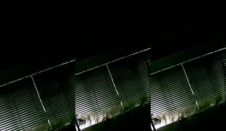 【360】 温馨万达广场 萝莉音等8部（自己守台录制版）