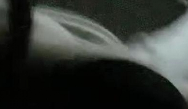 奶油草莓可爱多 核弹！校花女神【葡萄皮】宿舍大秀~这身材绝了~喷血强推~美妙尤物