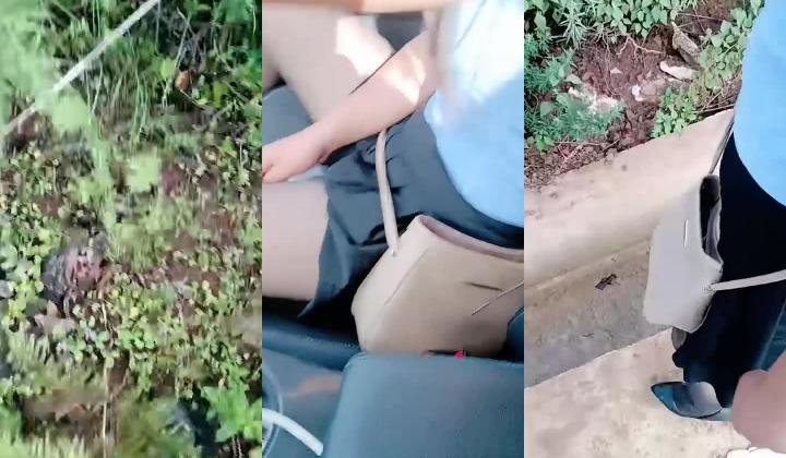 【钢炮寻爱】 户外车震~沟搭人妻熟女催情药无套内射