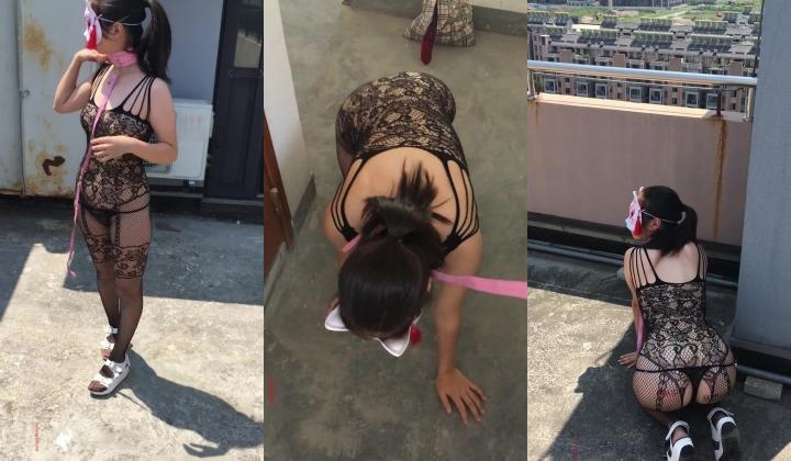 大学生女友芝芝的母狗露出驯化之路