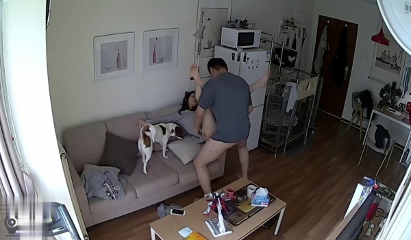绿帽奴把妻子调教制服情趣啪啪调教