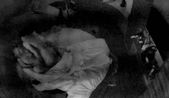 真实欣赏几对情侣火力全开激情啪啪啪亮点是小伙动作片没少看是个老司机揉奶抠逼的手法出神入化