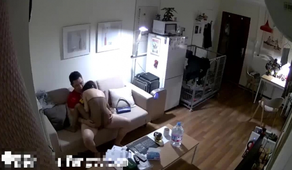 动漫公司老板是个SM性瘾者喜欢带不同类型的美女回家“养”，每天下班回家都有随时泻欲的工具