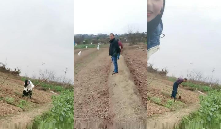 户外骚女【要找一夜情】野外帮别人锄地，野地尿尿露出会车上翘着屁股，