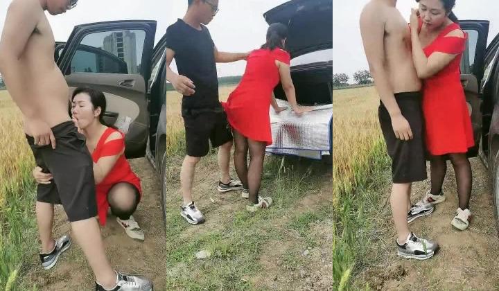 风骚少妇跟小哥激情户外，麦田旁激情啪啪，给小哥口交大鸡巴让小哥后入爆草扒光了揉捏骚奶子，浪荡呻吟