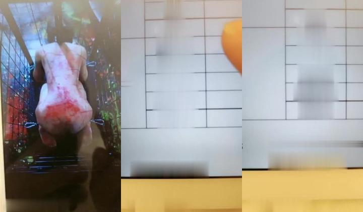 调教女奴，粗针管灌肠，屁眼里塞火腿肠，打火机电逼，最后没射出来只能把尿喂给女奴