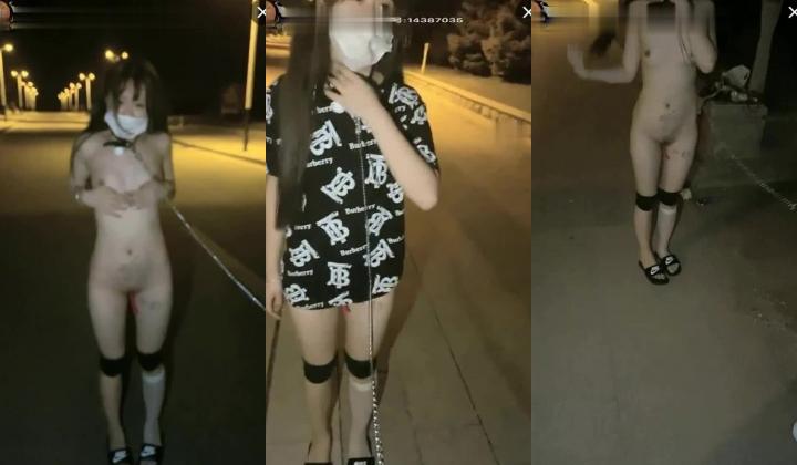 圆脸卡哇伊小母狗，这么可爱的女生才18岁，脱光被SM牵狗绳在大街，年轻紧致的身材，一线馒头逼，直接在路边打炮