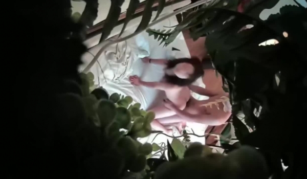 绝版绿植房 ️久未见面的情侣不停做爱释放爱的种子 连操好几炮 不停高潮内射 高清720P版