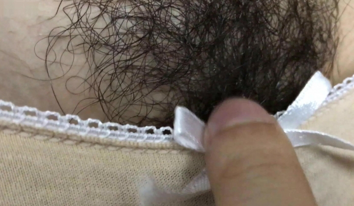 足交系列