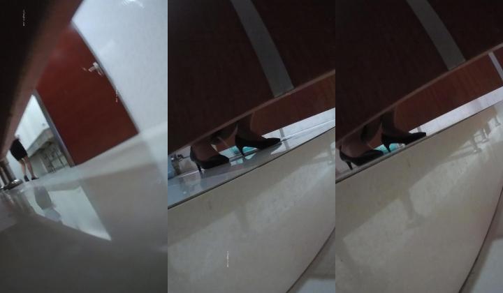 色胆包天坑神潜入政F办事大厅女厕，偸拍多位制服女服务员方便，还开灯补光拍