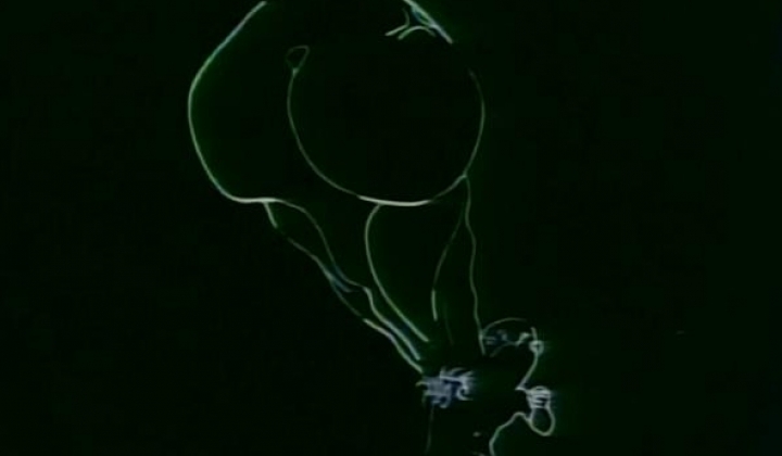 [Shirokoi][03][Kanashimi no Belladonna][DVDRIP][