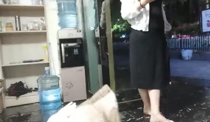 一代炮王，疯狂的做爱机器，【山鸡岁月】，私约才有趣，拿下挺有韵味的少妇，舔逼达人水汪汪