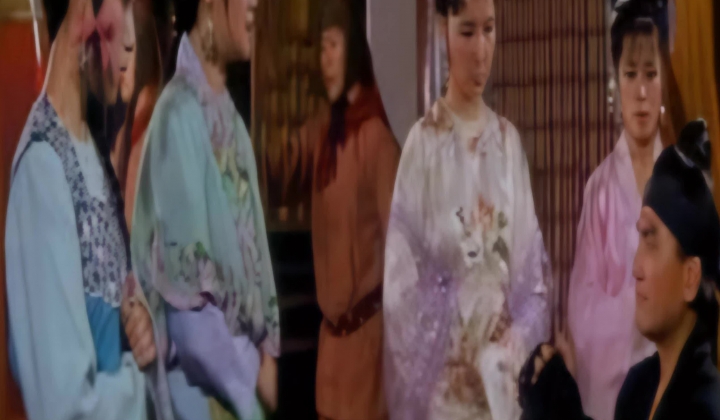 妲己性爱传