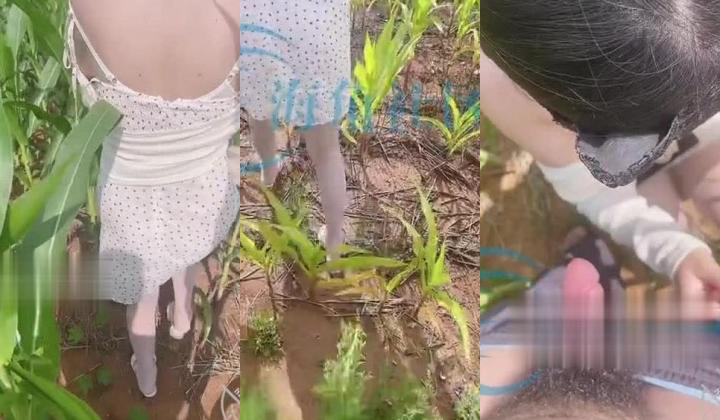【超顶 ️乱伦大神】妹妹的第一次给了我 大太阳在玉米地和妹妹老汉推车 乡野艳情还玩起手铐 操到俩