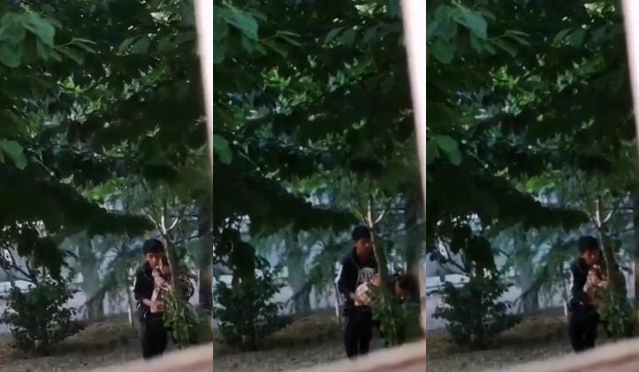 最新门事件刚放假某省财经大学宿舍没装空调情侣跑到院子里的树荫下啪啪几个同学躲在宿舍里偷窥调侃