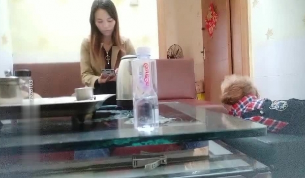 【足疗店小粉灯】偷拍 真实攻略按摩足疗店 4天多女~！/足疗店小粉灯