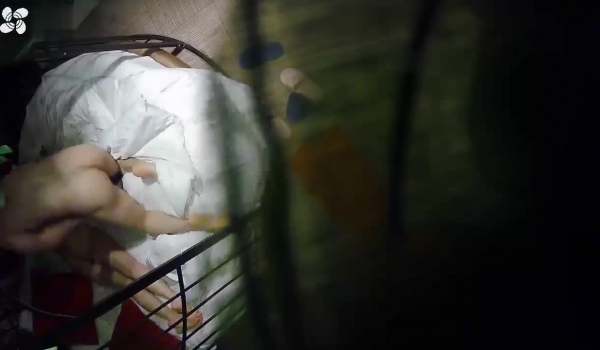 真实欣赏数对男女激情滚床单少女少妇各有各的优点大白屁股少妇穿的T裤真心惹火主动出击骚的一批