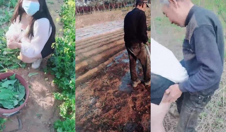 【职业约屌人】，东北乡村猎艳，地里干活的大叔们有福了，骚逼勾搭，菜地里无套开干，赚到了