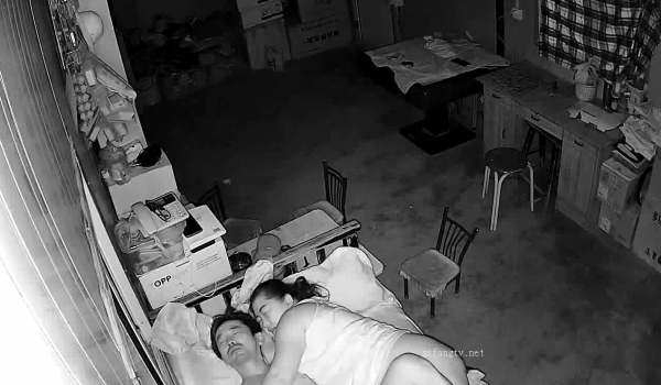 各式家庭真实性爱生活写实