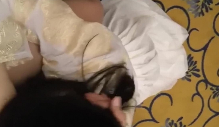 【网爆门事件】【重磅绝密】河南实验学最全版（一）汉服洛丽塔萝莉cos 外表清纯原来内心风骚无比