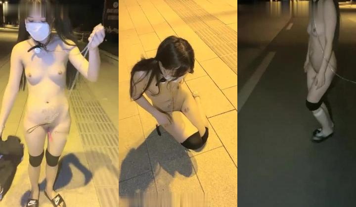 橙橙小萝莉深夜户外露出啪啪，带项圈马路边爬行给主人口交后入爆菊，全裸跳蛋赛比捆绑