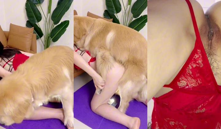 天花板级猎奇系列【香香公主和她的爱犬】性感美女被狗狗内射，这TM真实好逼都让狗肏了！这下彻底变成