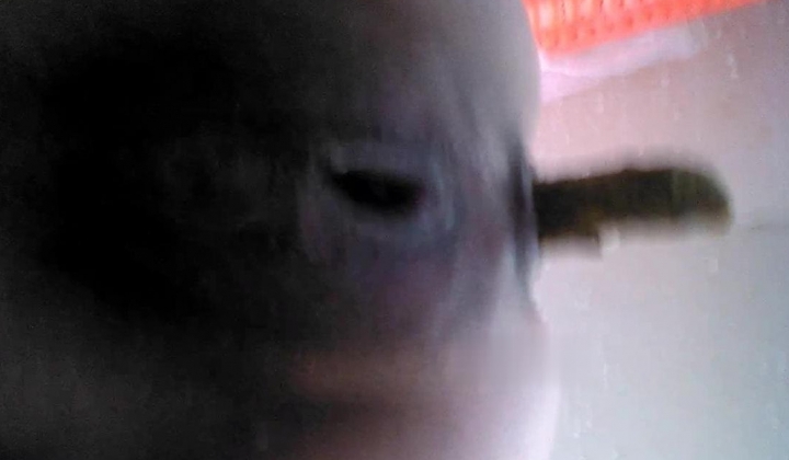 国内某付费猎奇群内分享福利视图良家大肚子孕妇哺乳期少妇露脸大胆自拍孕期欲望真强