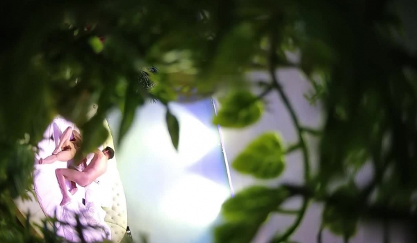 监控破解猥琐大叔掰开少妇的双腿想吃她的鲍鱼少妇死活不同意