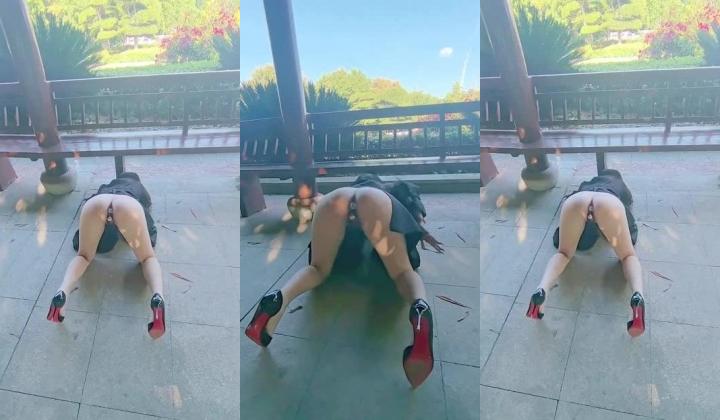 母狗调教师【泽塔控】滴蜡封逼 双洞跳蛋 两只母狗 双倍快乐！惩罚完狠狠的艹一顿 直接拽到床角 扯着绳子狠狠的后入内射
