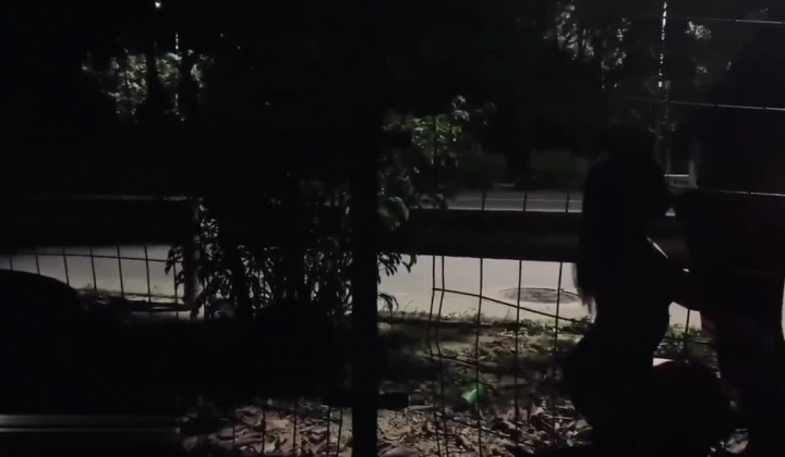 顶级调教大神【X020X宝爷】女人是不是都这样！上一秒好好的 见到J8整个人变了！速战速决衣服裤子都来不及不脱