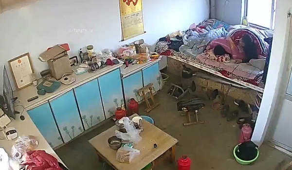 《破解家庭摄像头》监控偷拍奇葩的家庭目测儿子都上高中了还和爸妈一块睡儿子上学后抓紧时间啪啪啪