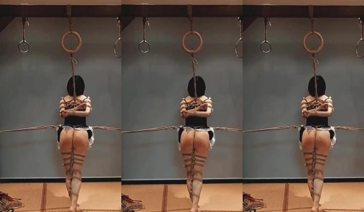 西安BDSM推特大神【周先生】女体调教视图集，雪地遛狗绳艺唯美另类