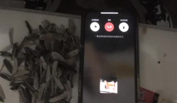 泡良大神，万花从中过，【91约妹达人】未流出完整版，颜值最高的猎物，酒店连续两天推拉，终于拿下了