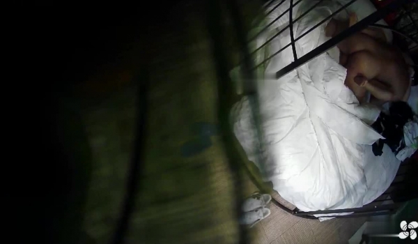 最新流出萤石云酒店鸟笼房偷拍两对白天开房偷情的男女炮友激情啪啪